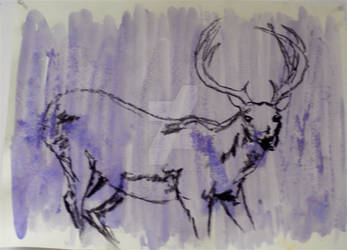 Deer Series 5