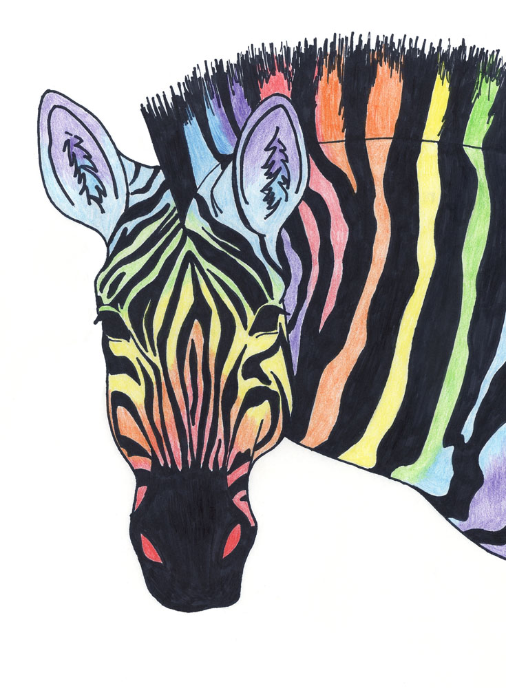 A Zebra of Many Colours