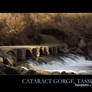 Cataract Gorge, 2007
