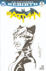 Catwoman Commission Sketchcover