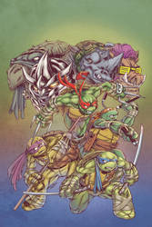Teenage Mutant Ninja Turtles ish 67 cover by ElfSong-Mat