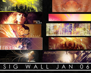 Sig Wall Jan 06