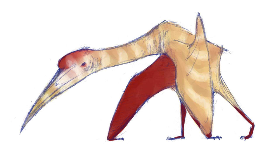 Quetzalcoatlus sp.