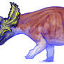 Triceratops horridus