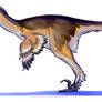 Velociraptor mongoliensis