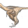 Bambiraptor