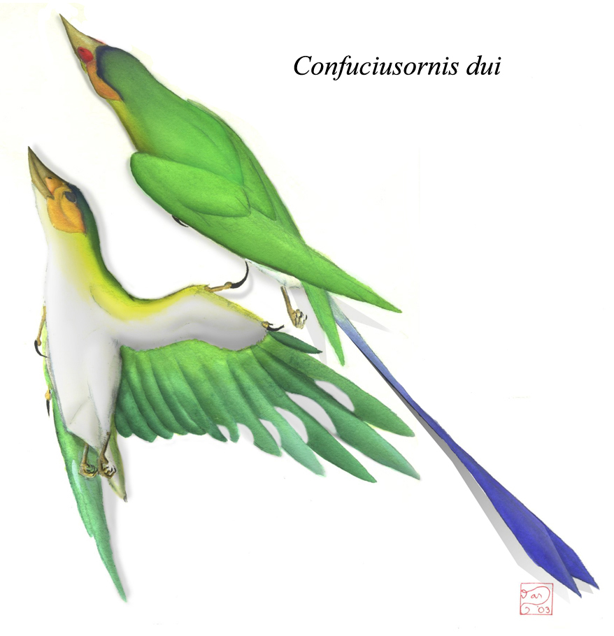 Confuciusornis dui by bensen-daniel