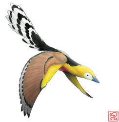 Sinornis santensis