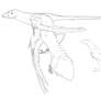 Microraptor gui sketch
