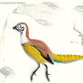 Eoenantiornis buhleri