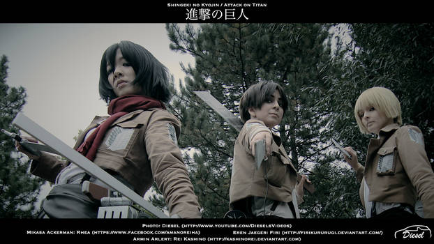 Shingeki no Kyojin - ready to fight