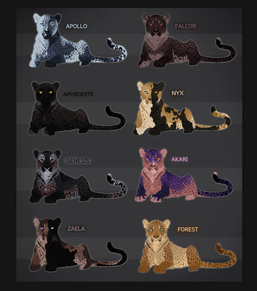 Leopard Adopts Batch 2 by Madison1575 on DeviantArt