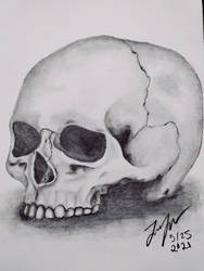 Graphite Skull