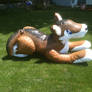 my inflatable wolf