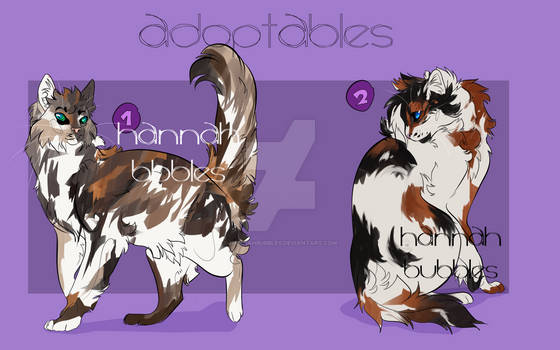 CAT ADOPTABLES|  5 EURO per design