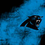 Panthers NFL Wallpaper