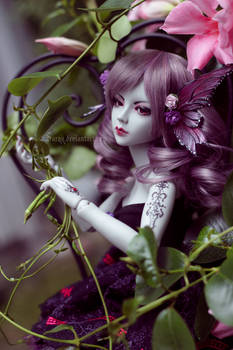 Enchanted Butterfly