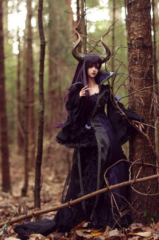 Sacred Woods