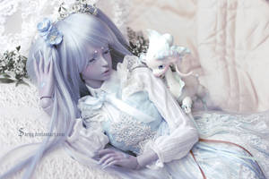 Bed of Flowers IX