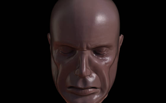 Face Sculpt