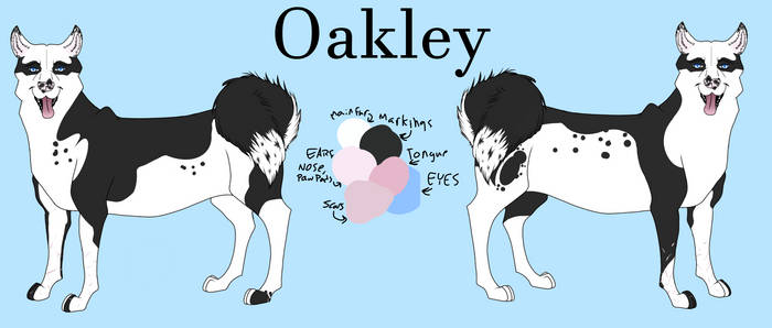 Oakley Reference Sheet **Fursona**