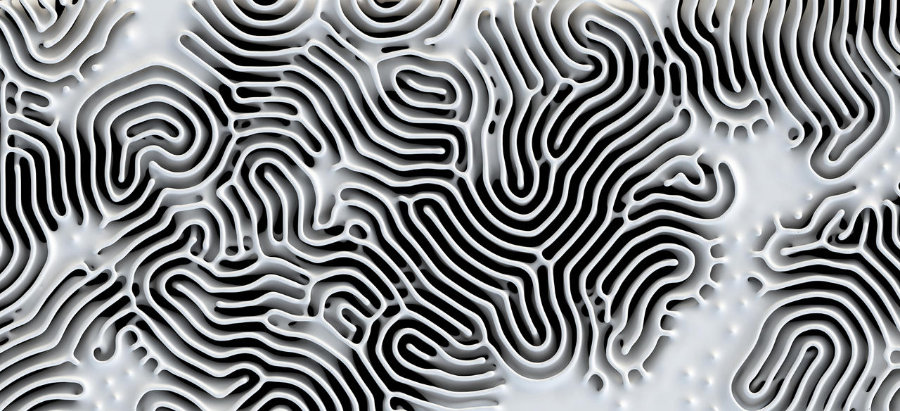 Raction Diffusion Reaction Diffusion by Mind-Eversion on DeviantArt