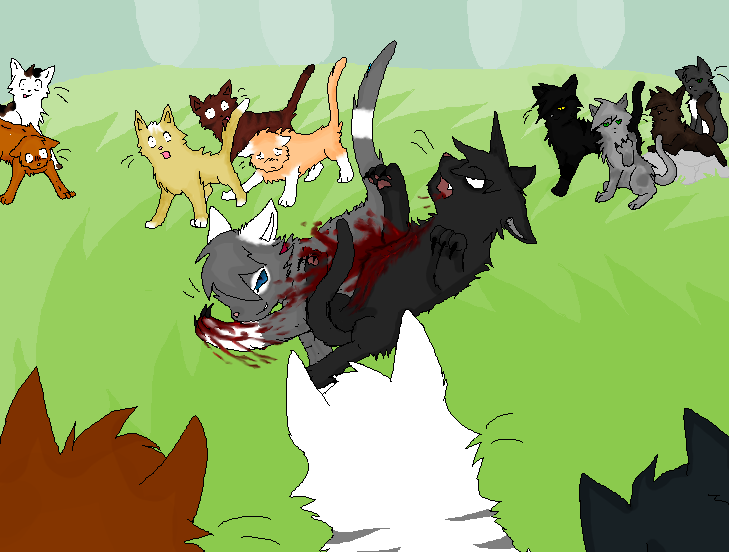 Warrior cats игры