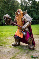 Magni Bronzebeard - World of Warcraft