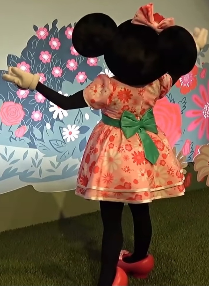 Garden Minnie Mouse back 2 by DaltLSmith on DeviantArt