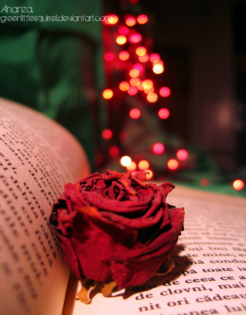 Rose and Book