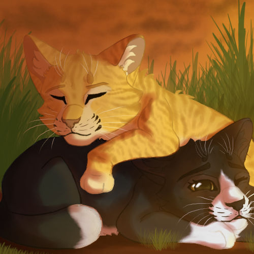 Petite Boule Doree Et Patte Noire By Flintpaw2606 On Deviantart Petite Boule Doree Et Patte Noire By Flintpaw2606 On Deviantart