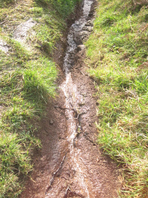 stream forms in path by RondamGorman on DeviantArt