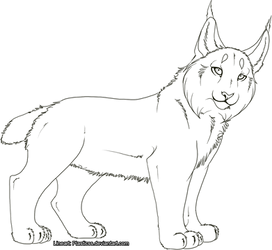Lynx Lineart