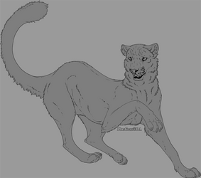 V.1 Cheetah lineart