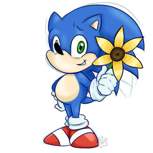 Sunflower Sonic
