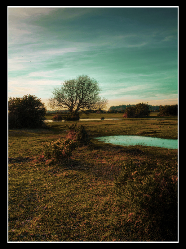 Into the distant lake