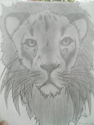 Finished Lion