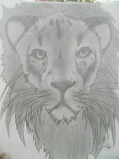 Finished Lion