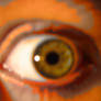 ORANGE EYE