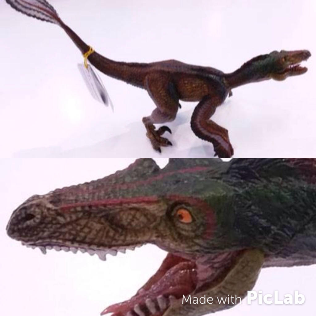 Papo Velociraptor 2016 by zoome3 on DeviantArt