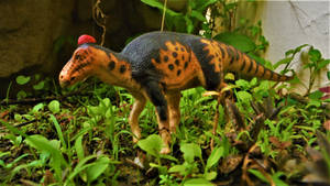 Edmontosaurus regalis
