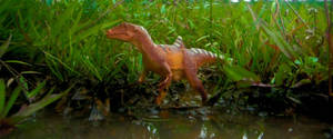 Concavenator