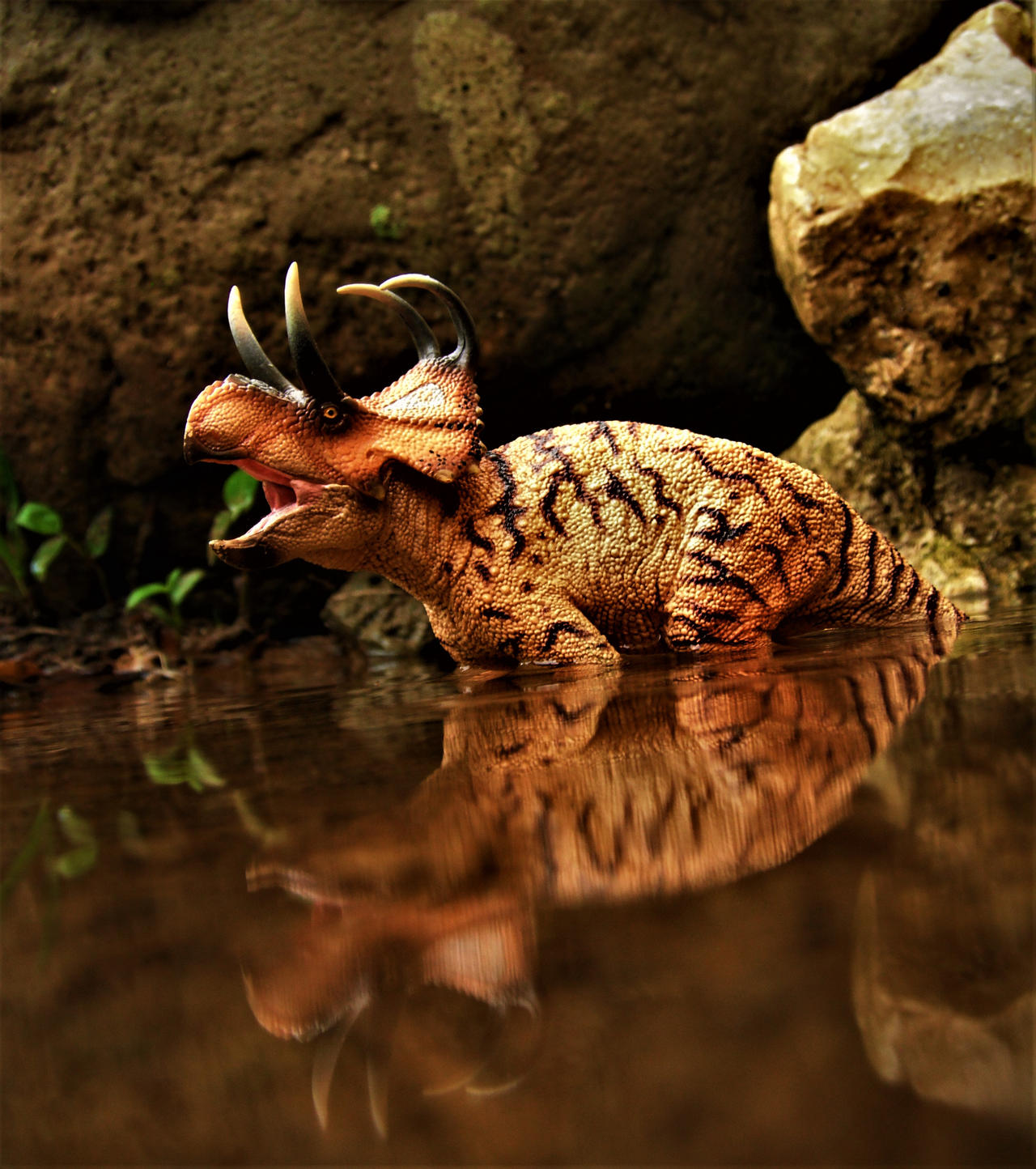 Machairoceratops by zoome3 on DeviantArt