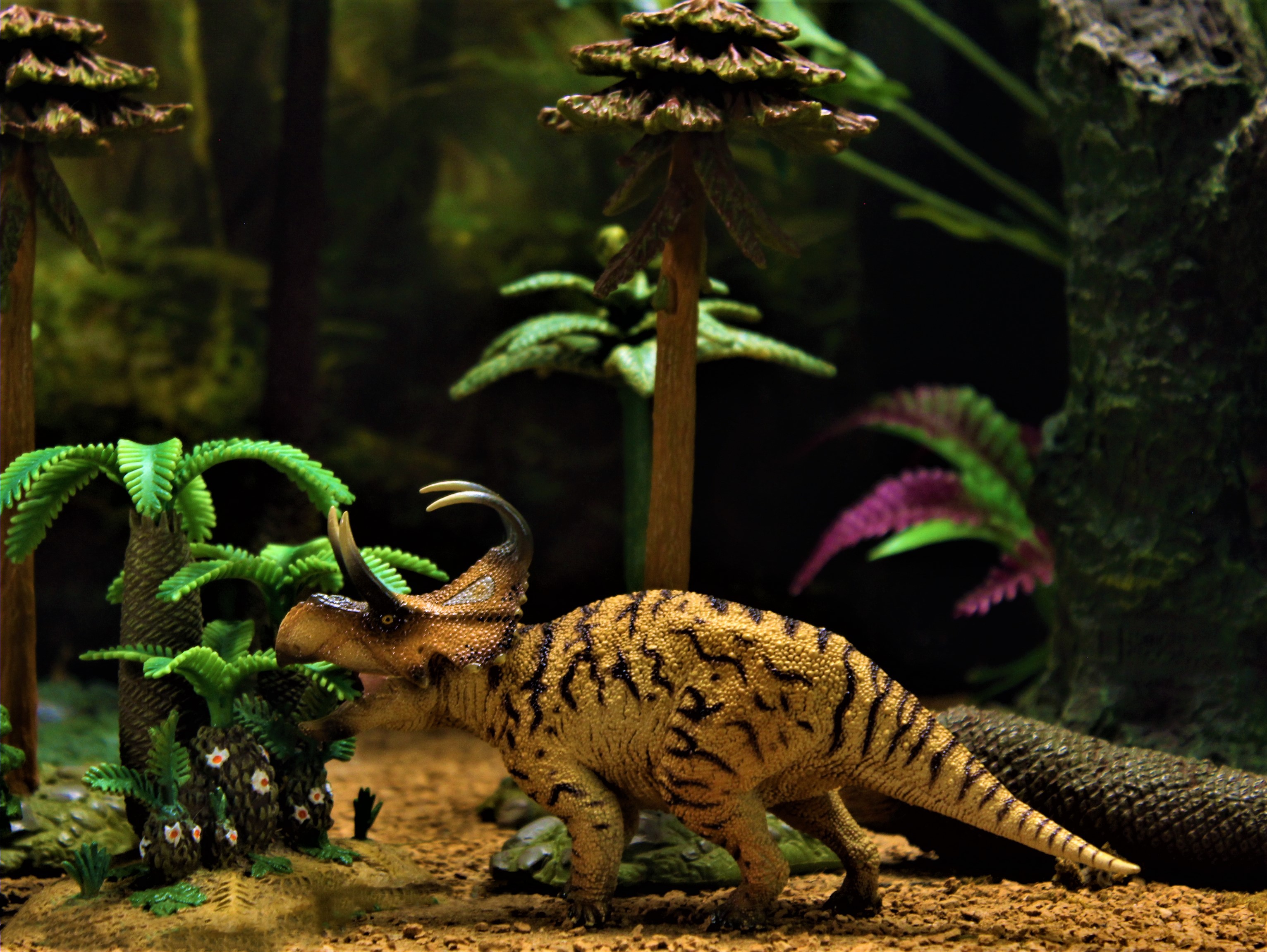 Machairoceratops by zoome3 on DeviantArt