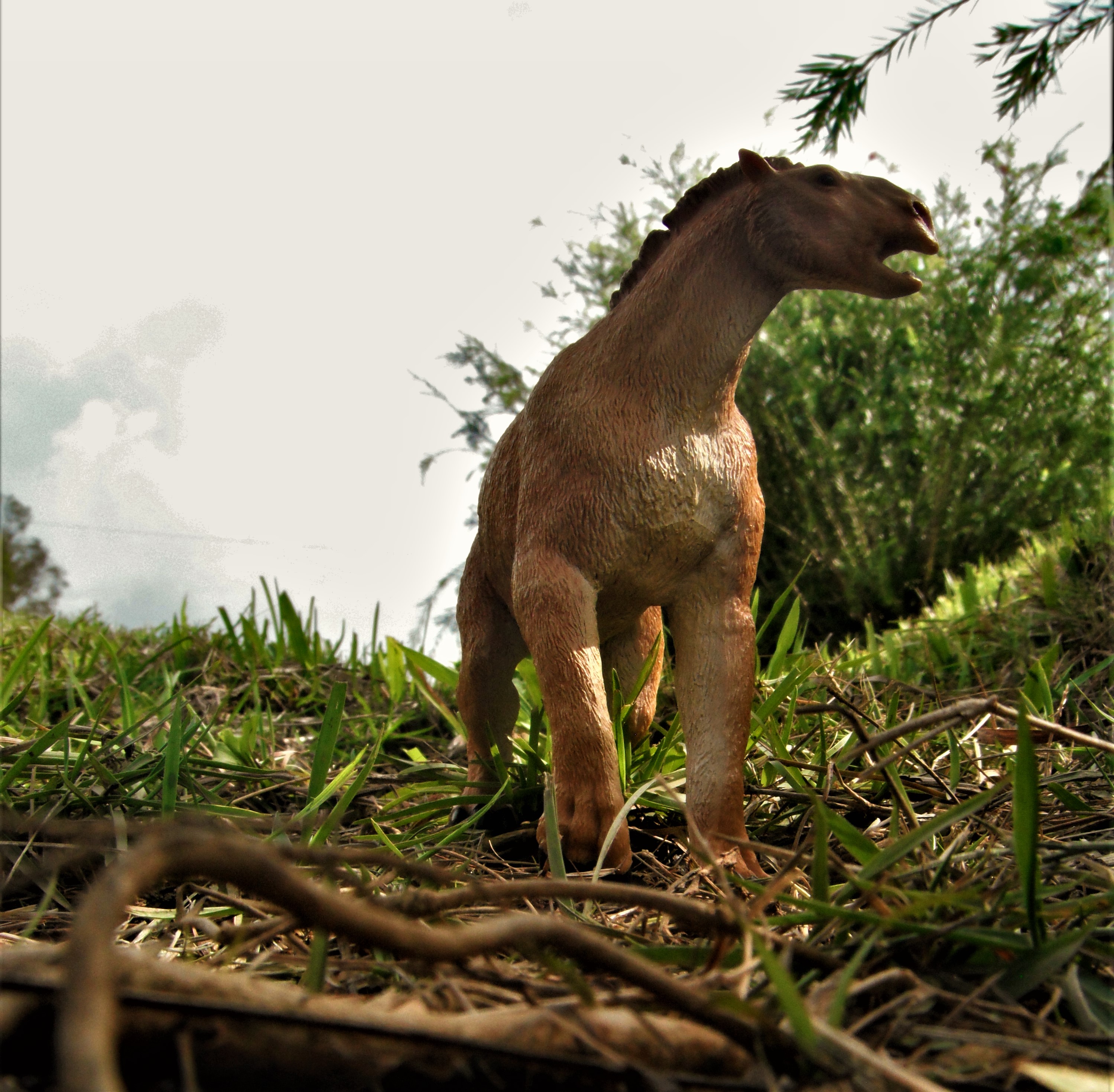 Moropus Moropus by zoome3 on DeviantArt