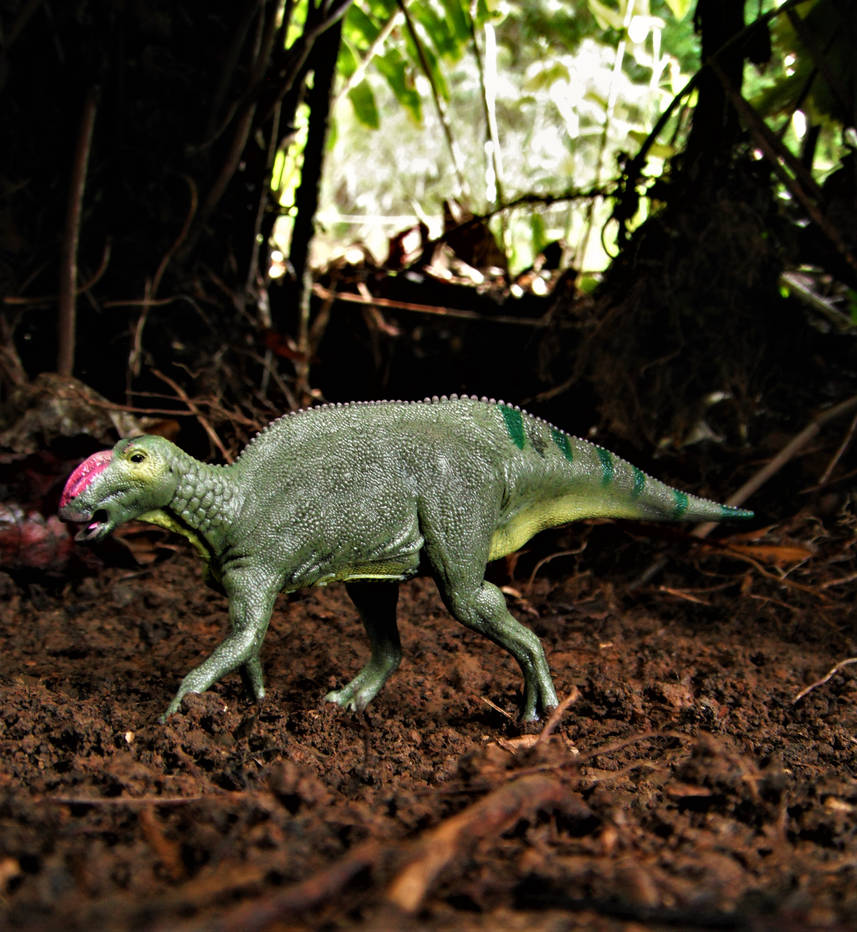 Hadrox Image Hadrosaurus by zoome3 on DeviantArt
