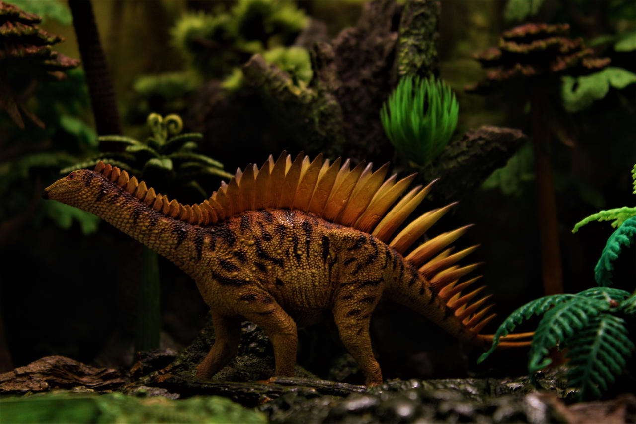 Miragaia by zoome3 on DeviantArt