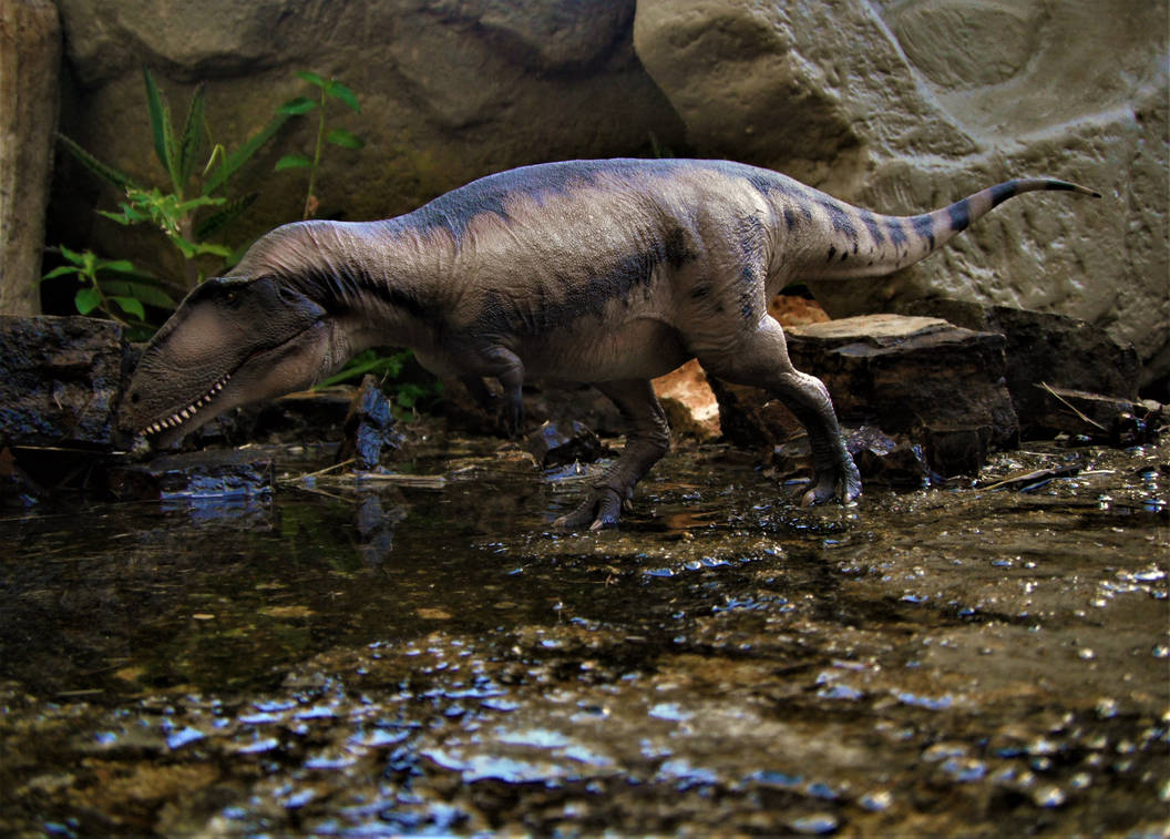 Mapusaurus by zoome3 on DeviantArt