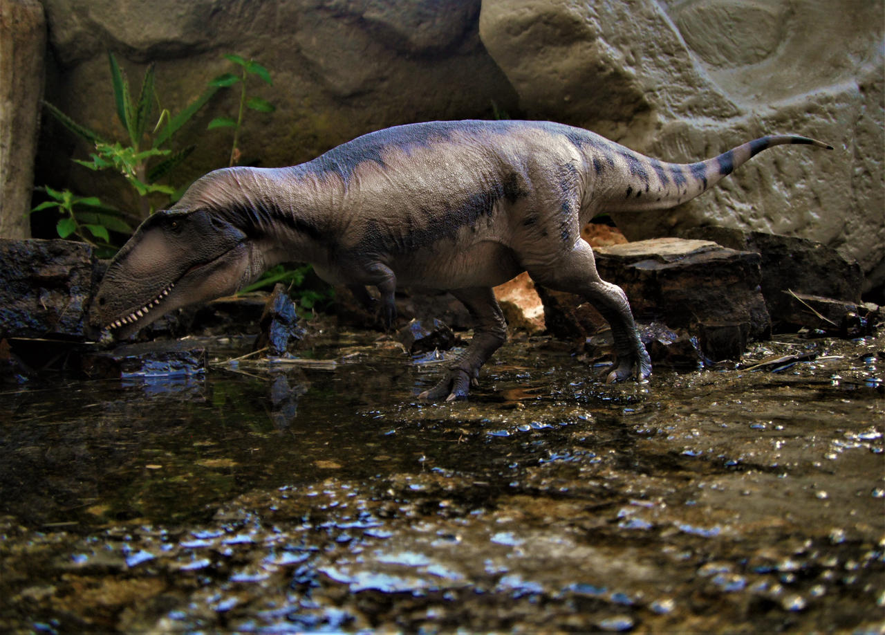 Mapusaurus by zoome3 on DeviantArt