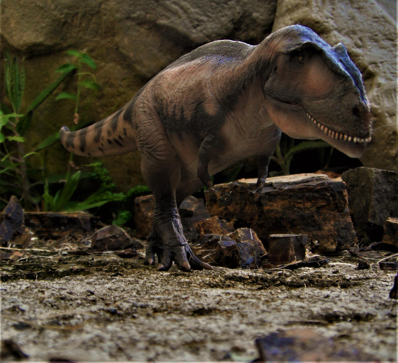 Mapusaurus by zoome3 on DeviantArt